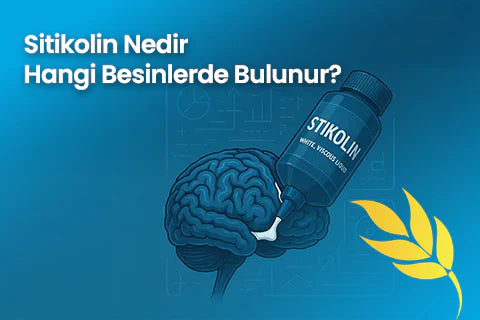 Sitikolin Nedir? Hangi Besinlerde Bulunur?