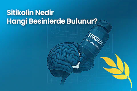 Sitikolin Nedir? Hangi Besinlerde Bulunur?