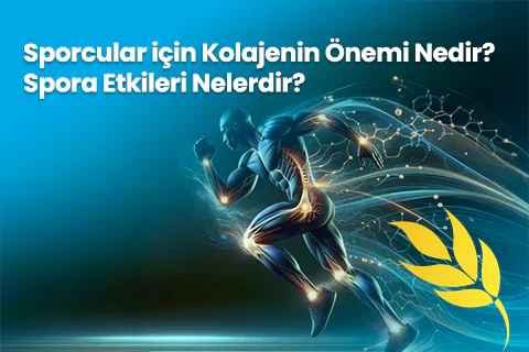 Sporcular İçin Kolajenin Önemi Nedir? Spora Etkileri Nelerdir?