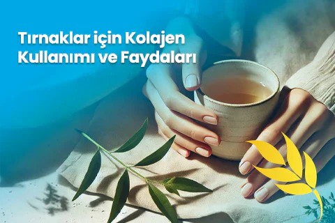 Tırnaklar İçin Kolajen Kullanımı Ve Faydaları