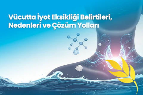Vücutta İyot Eksikliği: Belirtileri, Nedenleri ve Çözüm Yolları