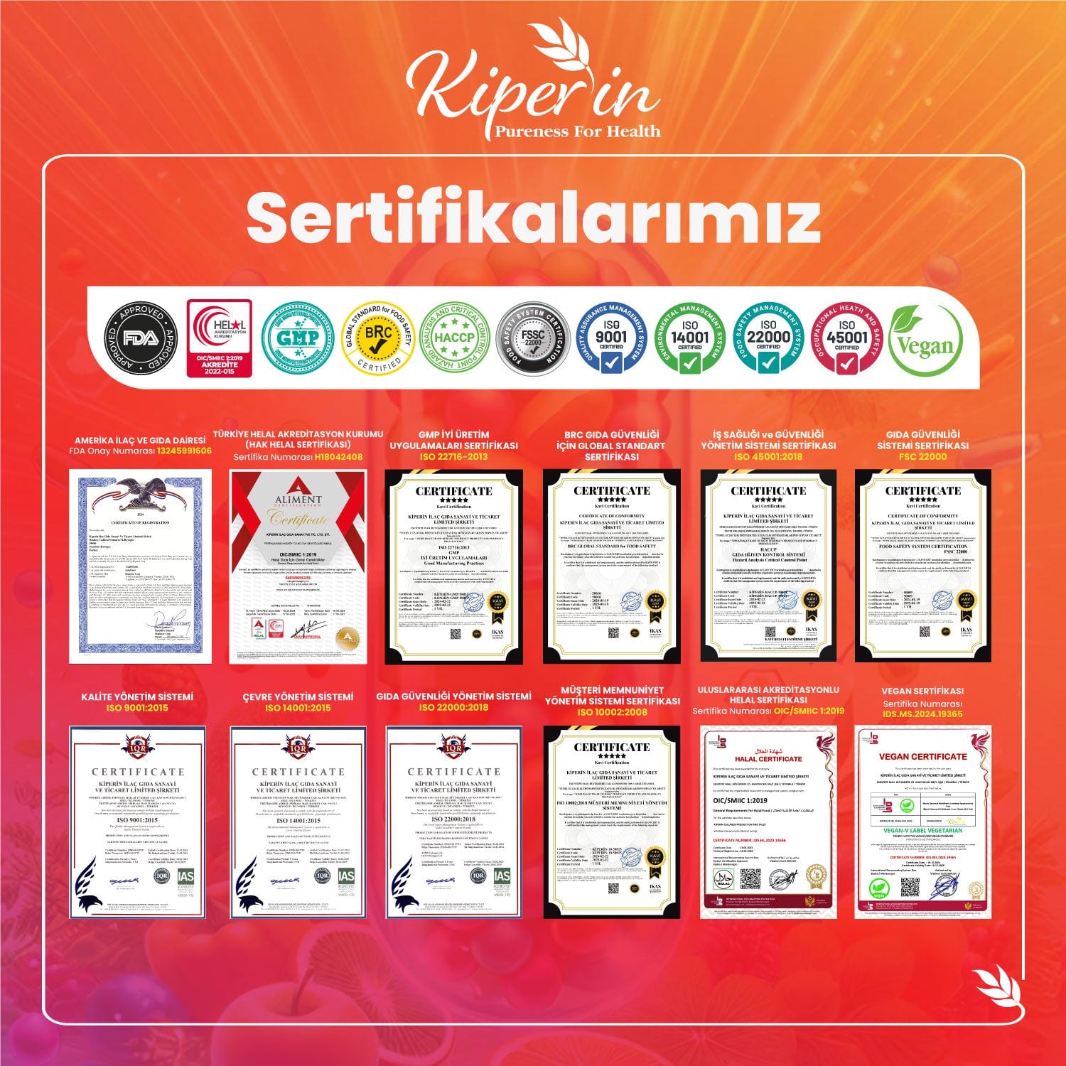 Kiperin Lipozomal Multivitamin Takviyesi: 13 Vitamin & 6 Mineral İçeren Akıllı Gıda Takviyesi