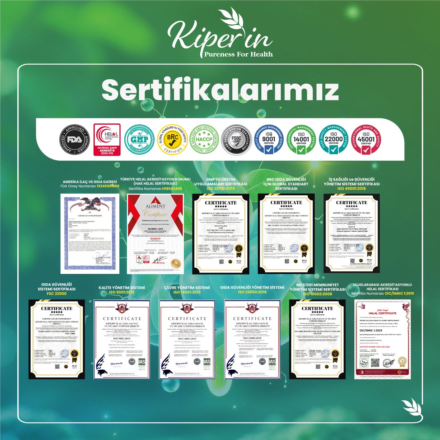 Kiperin Postbiyotik 210 Milyar Cfu Rhamnosus & Plantarum Sindirim (21Kapsül & 700mg) | Akıllı Gıda Takviyesi