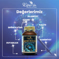 Load image into Gallery viewer, Kiperin Mind Focus Aslan Yelesi Mantarı, Sitikolin, Rhodiola, L-Theanin (1440mg) | Akıllı Gıda Takviyesi
