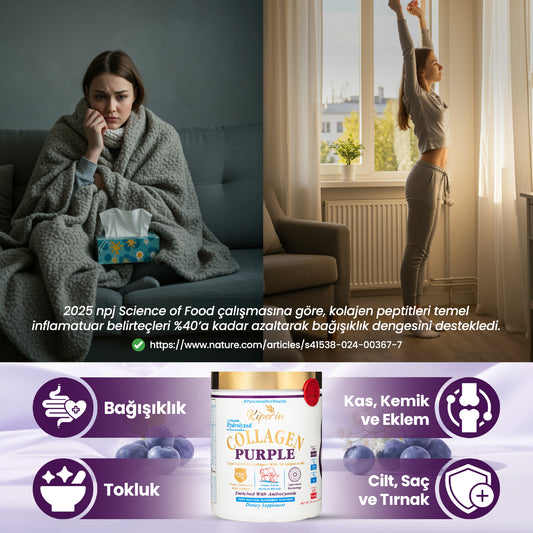 Kiperin Purple Collagen (576gr) %100 Saf ve Doğal Mor & Çoklu Kolajen Peptitleri içeren Lipozomal Teknoloji Takviye Edici Gıda