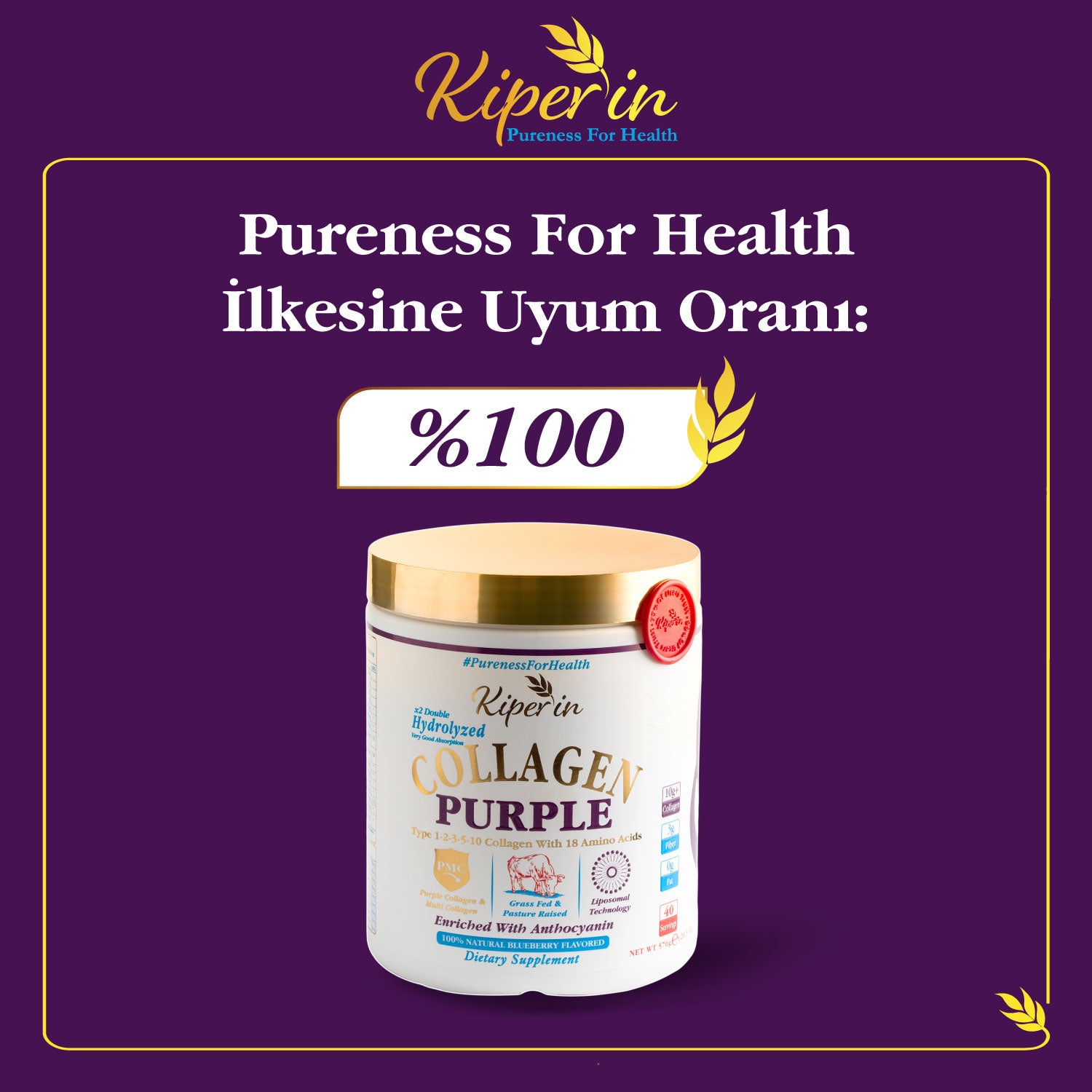 Kiperin Purple Collagen (576gr) %100 Saf ve Doğal Mor & Çoklu Kolajen Peptitleri içeren Lipozomal Teknoloji Takviye Edici Gıda