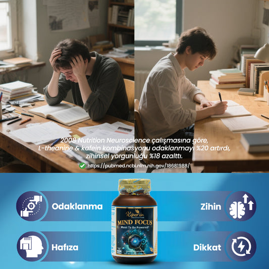Kiperin Mind Focus Aslan Yelesi Mantarı, Sitikolin, Rhodiola, L-Theanin (1440mg)