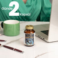 Resmi Galeri görüntüleyicisine yükleyin, Kiperin Mind Focus Aslan Yelesi Mantarı, Sitikolin, Rhodiola, L-Theanin (1440mg)
